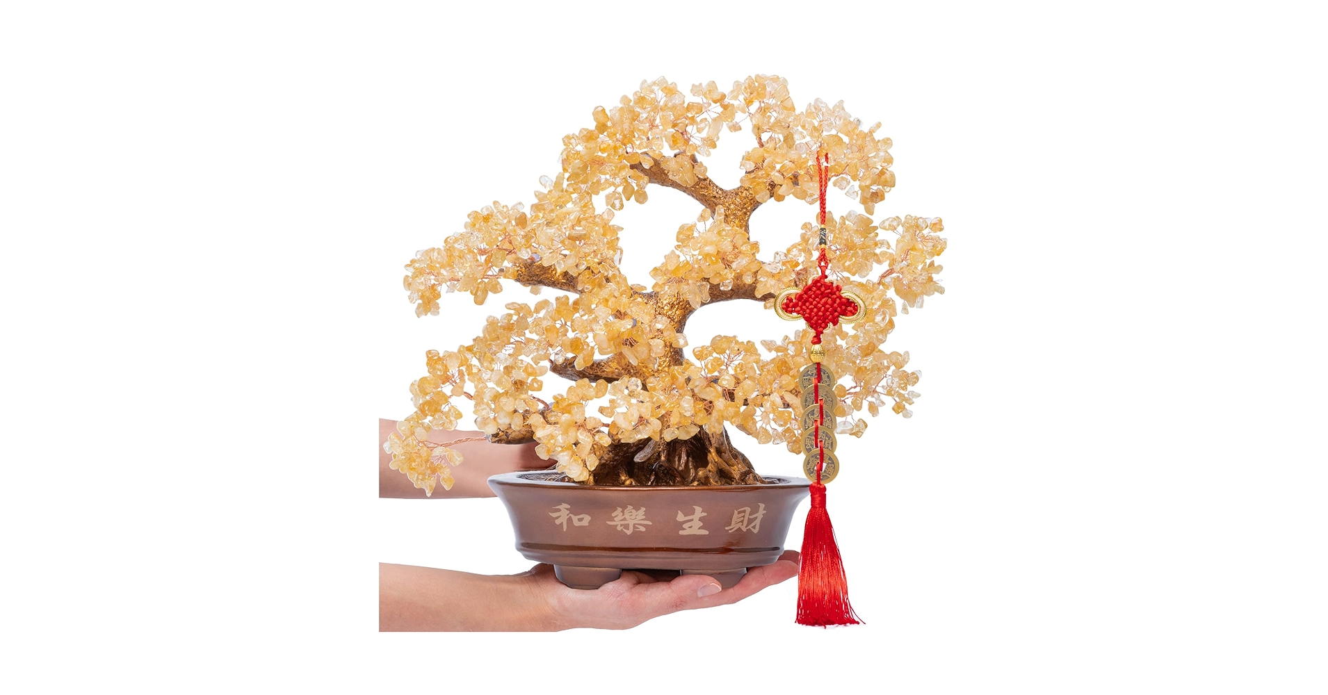 81eDU2N+5AL.jpg_BO30,255,255,